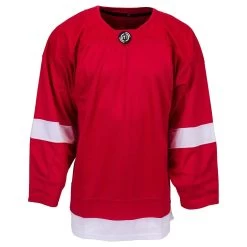 Detroit Red Wings MonkeySports Uncrested Junior Hockey Jersey